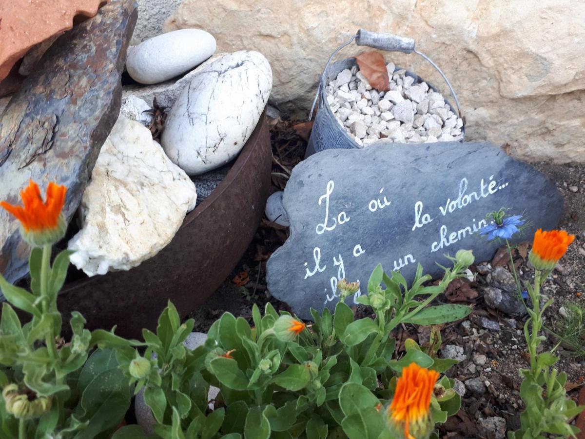 L'Orme-Vial Bed & Breakfast Saint-Galmier Dış mekan fotoğraf
