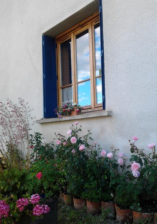 L'Orme-Vial Bed & Breakfast Saint-Galmier Dış mekan fotoğraf